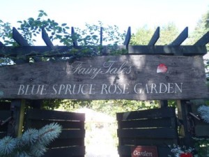 フェアリーテイル