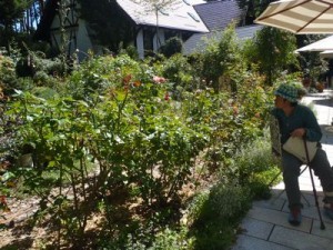 フェアリーテイルガーデン